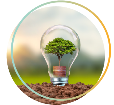 Lightbulb with tree inside representing sustainability