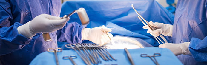 Two surgeons in transplant surgery