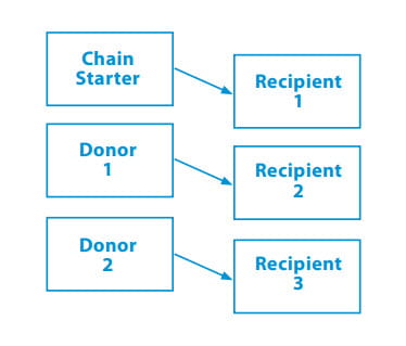 concept of a chain of kidney donors and recipients