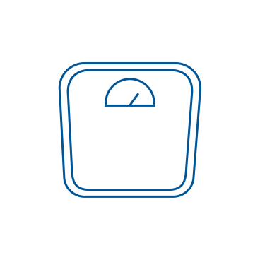 Scale icon