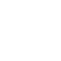 Money icon