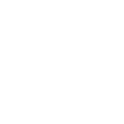 Questions icon