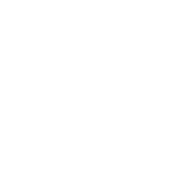 Stethoscope icon